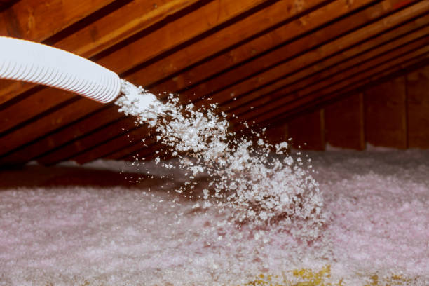 Best Insulation Installation Services in Toledo, IA