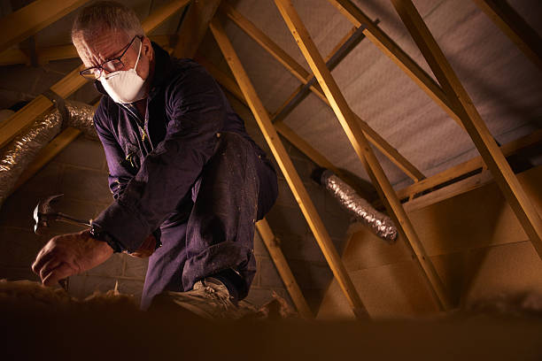 Best Insulation Materials and Products in Toledo, IA